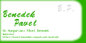 benedek pavel business card